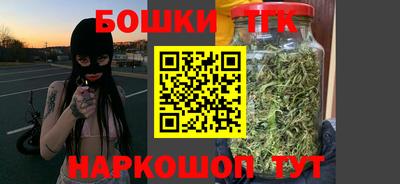 индика Заволжье