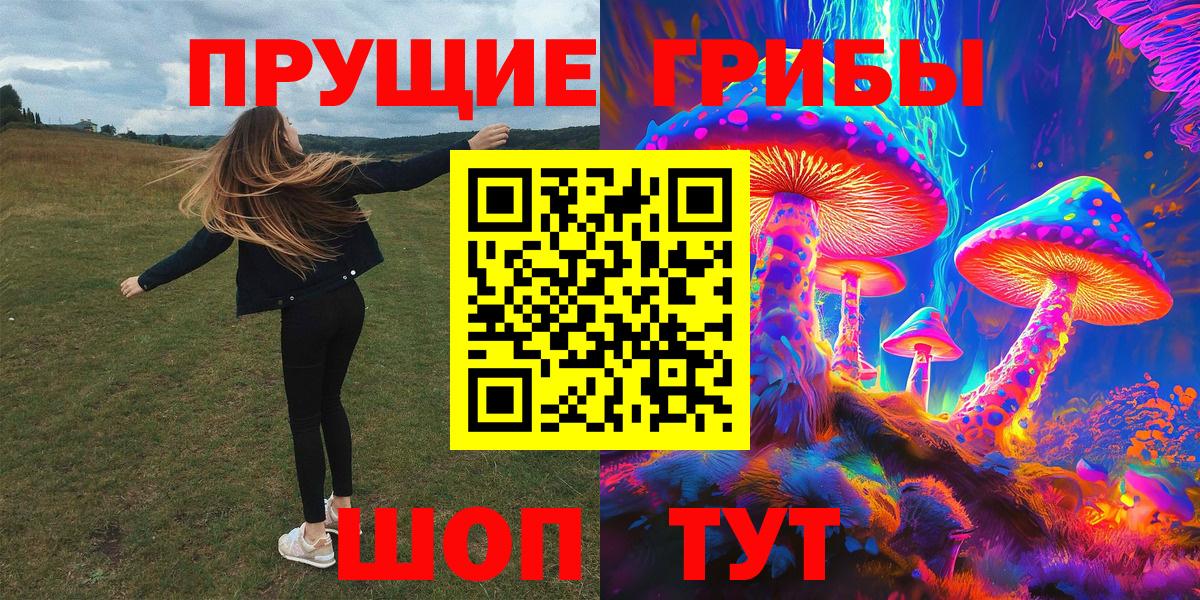 Псилоцибиновые грибы Cubensis  Вход с VPN  Мытищи 